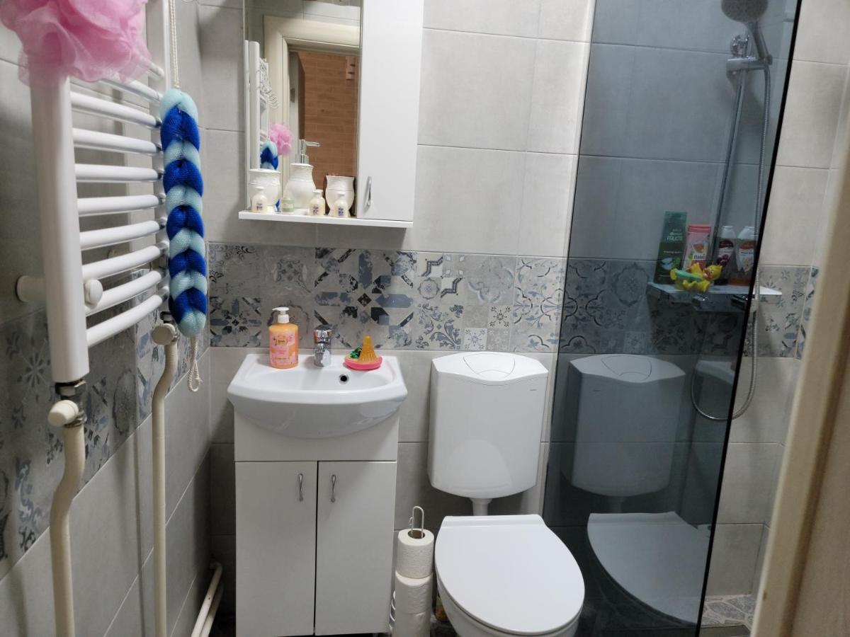 Apartman "Garden" ノヴィ・サド エクステリア 写真